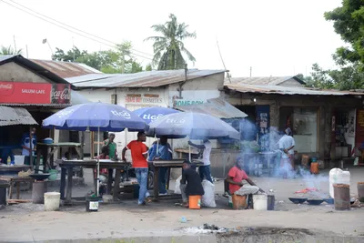 DSC_7546 (Large).JPG